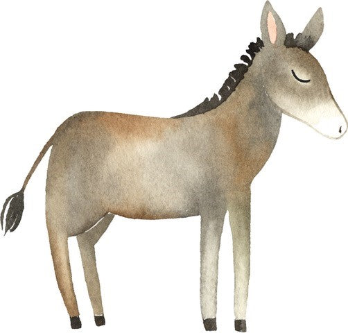 Designkarten 'Esel' 25 Stück