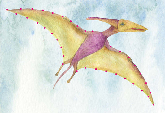 Designkarten-Set 'Dino fliegend' 5 Stück